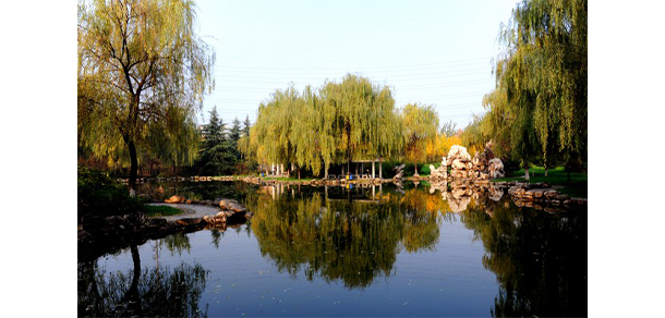 西安文理學院 - 最美大學