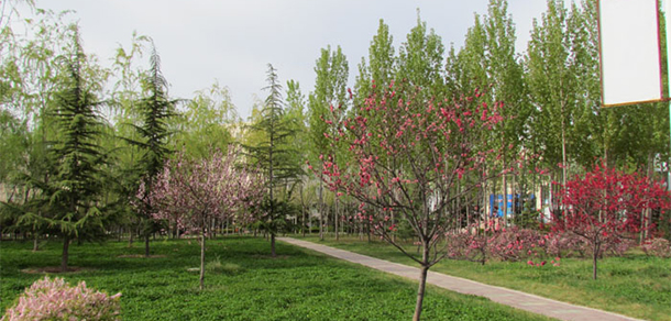 銅川職業(yè)技術(shù)學(xué)院 - 最美大學(xué)
