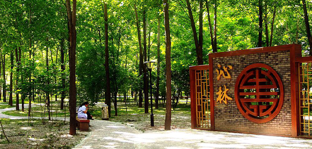 西安醫(yī)學(xué)高等專(zhuān)科學(xué)校 - 最美大學(xué)