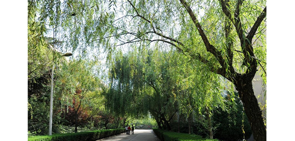 天水師范學院 - 最美大學