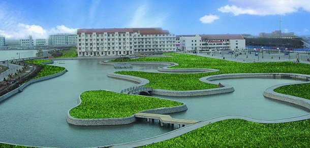 天津外國語大學 - 最美大學