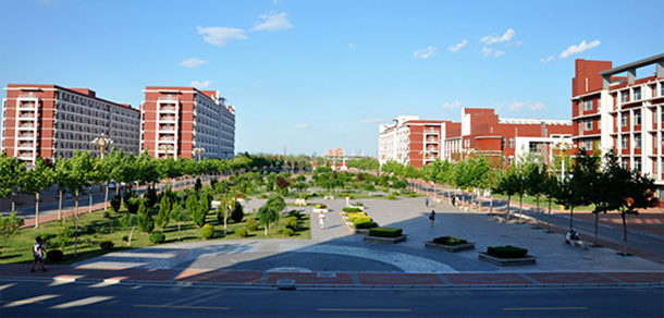 我的大學(xué)-大學(xué)志