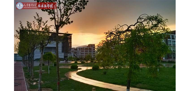 我的大學(xué)-大學(xué)志