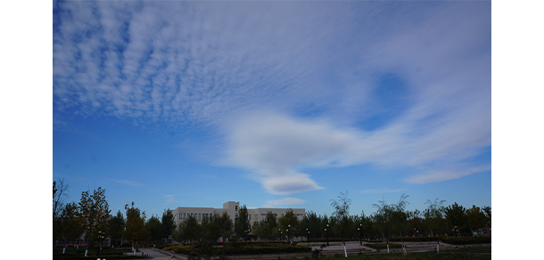 天津財經(jīng)大學珠江學院