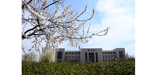 天津財經(jīng)大學珠江學院