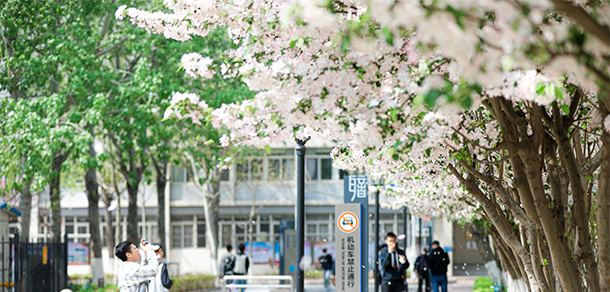 天津市職業(yè)大學 - 最美大學