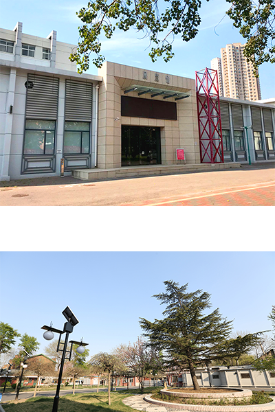 歲月流金 · 青春不散場
