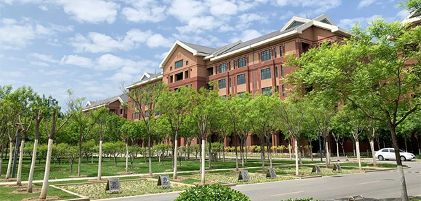 我的大學(xué)-大學(xué)志