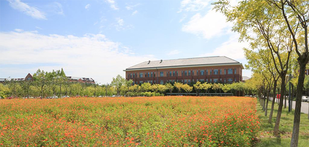 我的大學(xué)-大學(xué)志