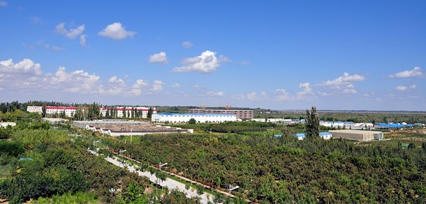 塔里木大學 - 最美大學