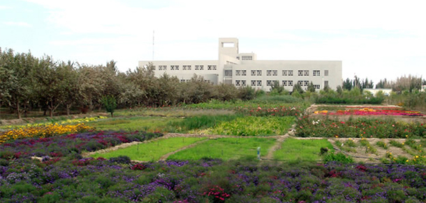 塔里木大學 - 最美大學