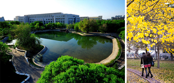 石河子大學 - 最美大學