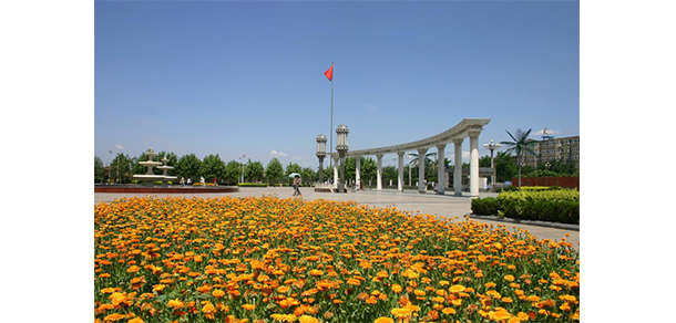 我的大學-大學志