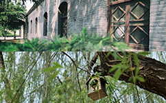 邢臺學(xué)院 - 我的大學(xué)