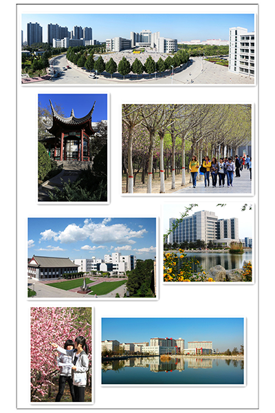 歲月流金 · 青春不散場(chǎng)