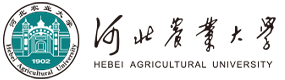 2021年-2024年高考招生資訊