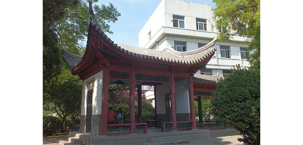 我的大學(xué)-大學(xué)志