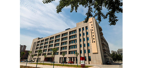 我的大學(xué)-大學(xué)志