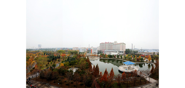 我的大學(xué)-大學(xué)志