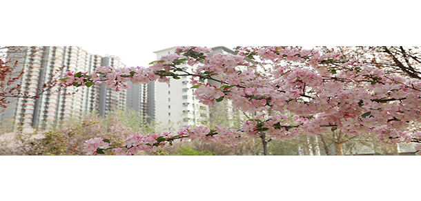 2022年招生簡(jiǎn)章