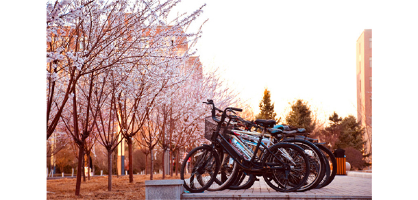 山西醫(yī)科大學 - 最美大學