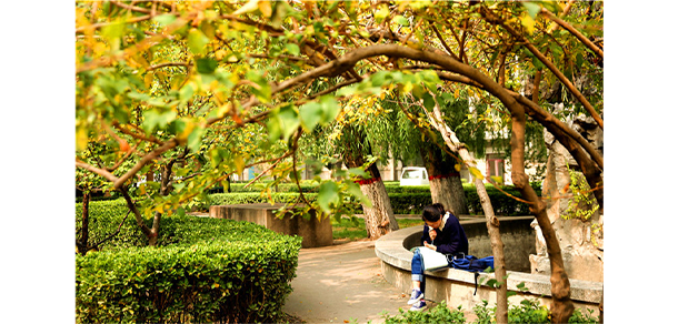 山西醫(yī)科大學 - 最美大學