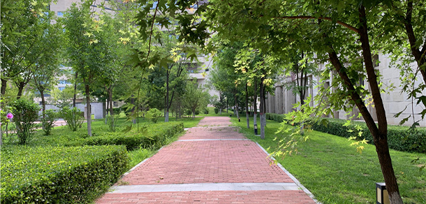 山西醫(yī)科大學 - 最美大學