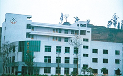 文化標(biāo)識(shí)：校名題寫(xiě) / 校徽設(shè)計(jì)