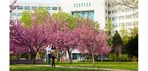 大連交通大學 - 最美大學