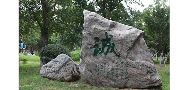 沈陽(yáng)師范大學(xué) - 最美大學(xué)