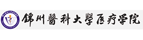 2021年-2024年高考招生資訊