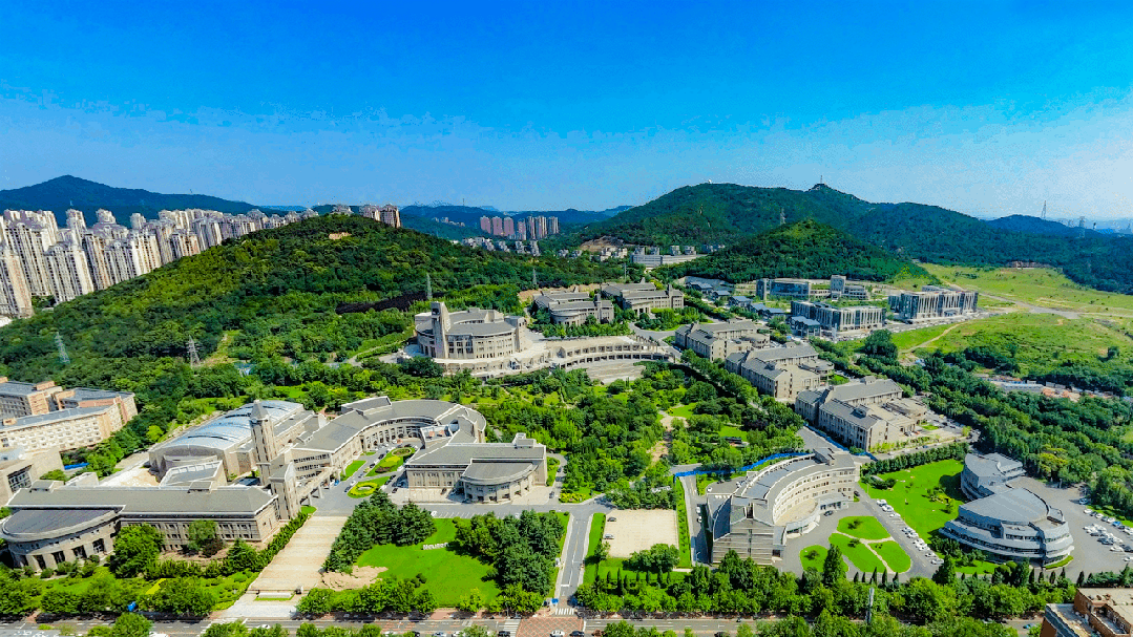 大連東軟信息學(xué)院2025年分省分專業(yè)招生計(jì)劃