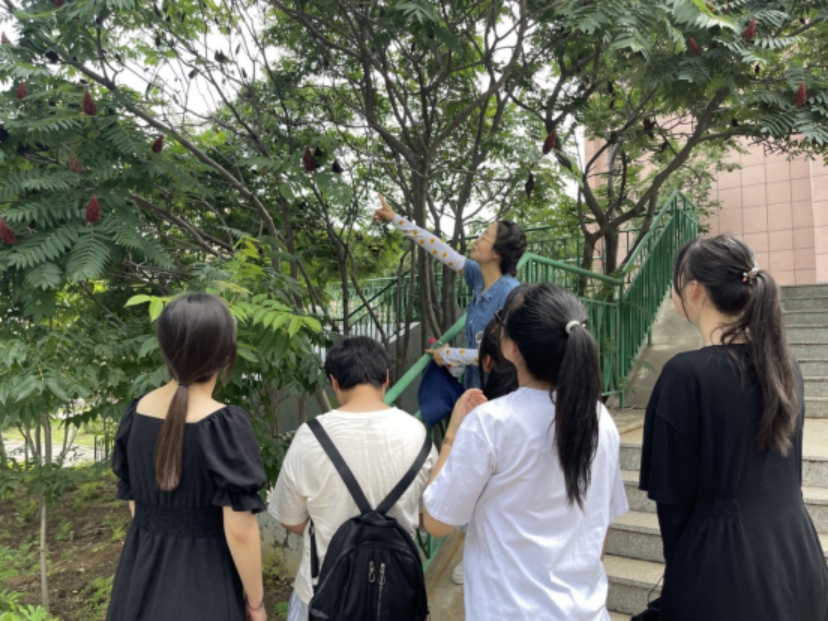 校園植物識別與統(tǒng)計(jì)