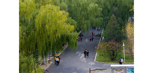 沈陽職業(yè)技術(shù)學(xué)院 - 最美大學(xué)