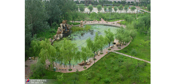 我的大學(xué)-大學(xué)志