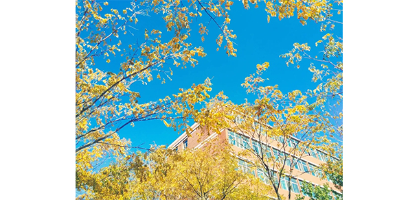 東北師范大學 - 最美大學