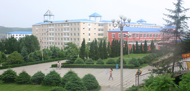 我的大學(xué)-大學(xué)志