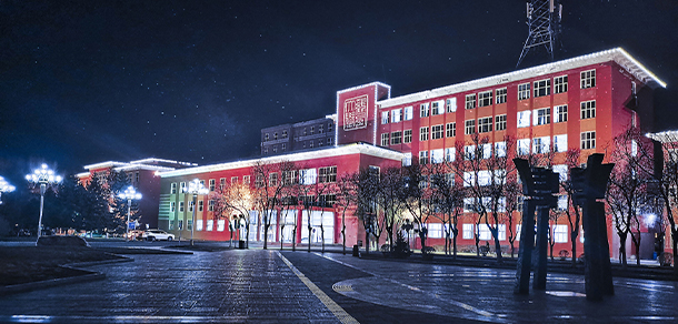 我的大學(xué)-大學(xué)志