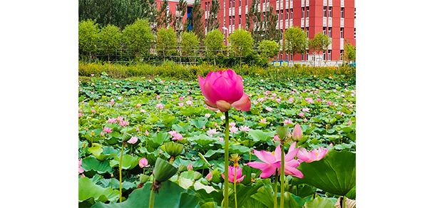 黑龍江工商學院 - 最美大學