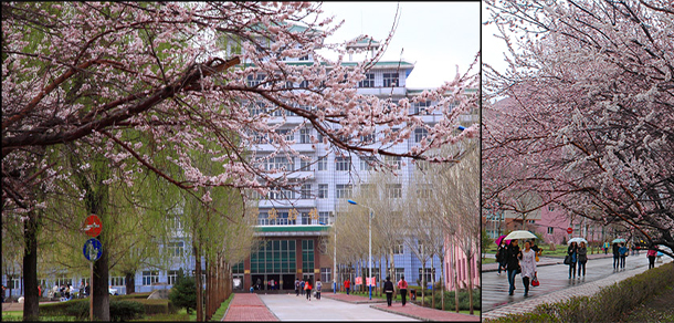 佳木斯大學 - 最美大學