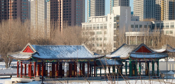 我的大學(xué)-大學(xué)志