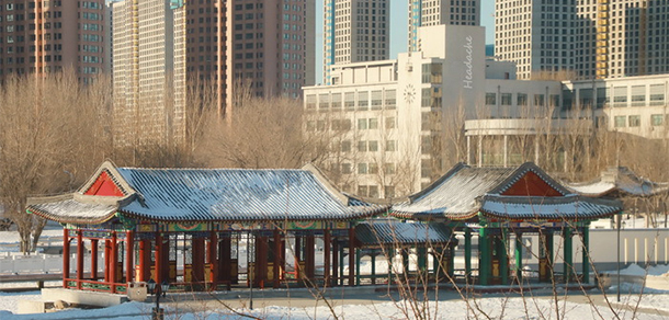 我的大學(xué)-大學(xué)志