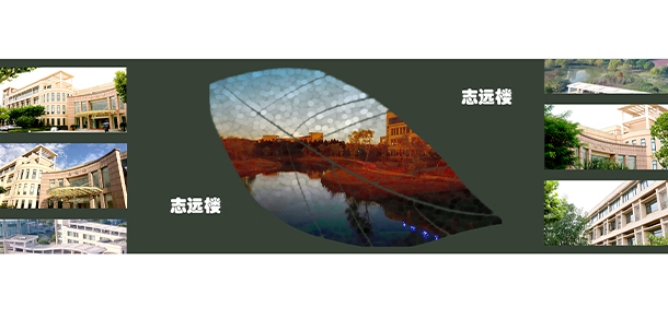 上海海關(guān)學院 - 最美大學