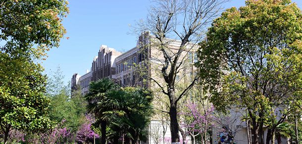 我的大學-大學志