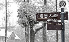 歷史沿革（概）校史