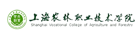 2021年-2024年高考招生資訊
